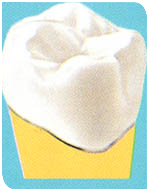 protesi capsule